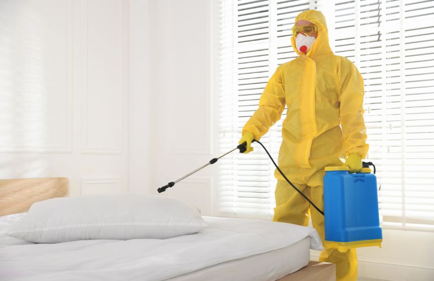 pest control services-Grand Power Cleaners