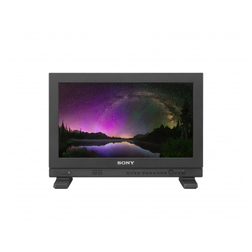 Sony-LMD-A170-
